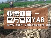 种植基地七(图1)
