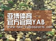 种植基地七