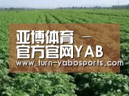 种植基地五