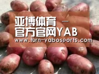 产品展示标题5