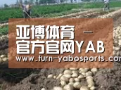种植基地八