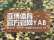 种植基地八(图1)