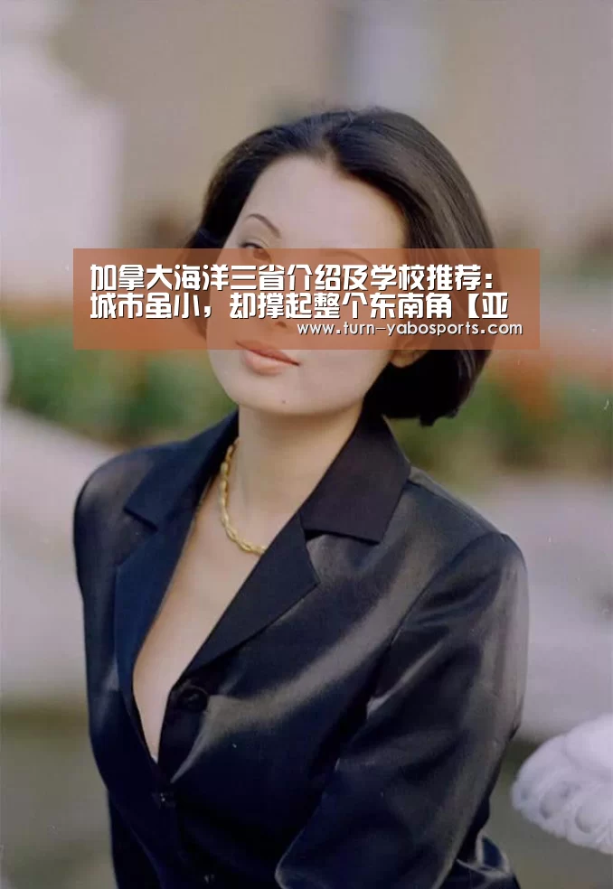 加拿大海洋三省介绍及学校推荐:城市虽小,却撑起整个东南角【亚博】(图1) Yabo亚博官方网站