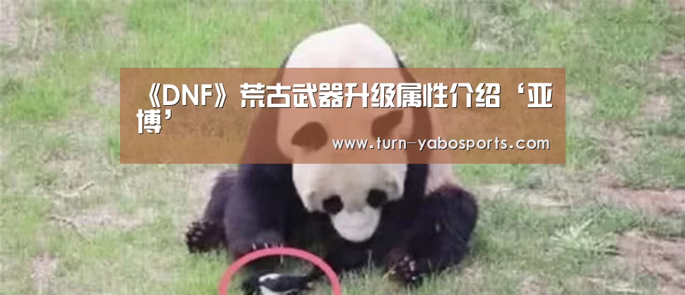 Yabo亚博官方网站
