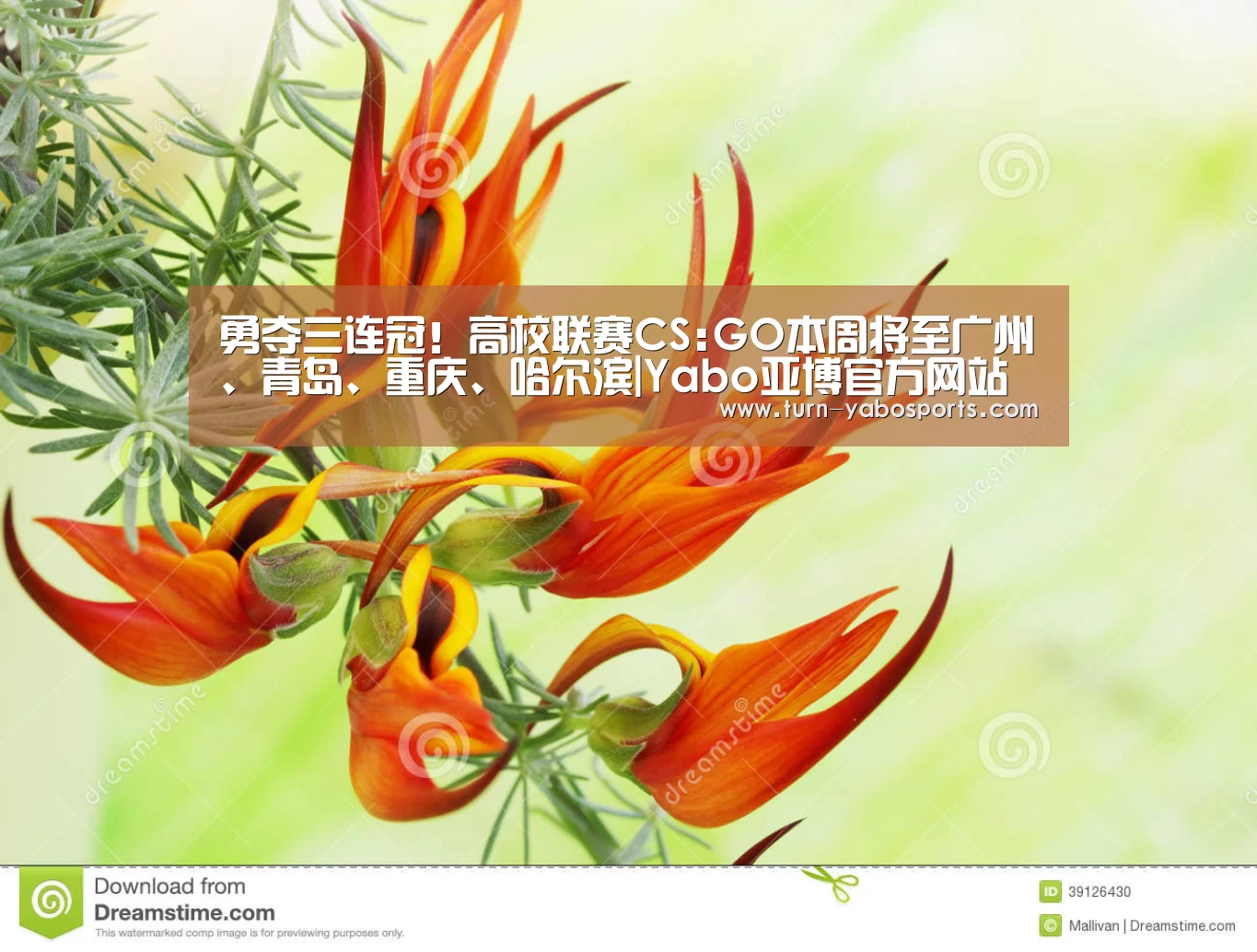 Yabo亚博官方网站