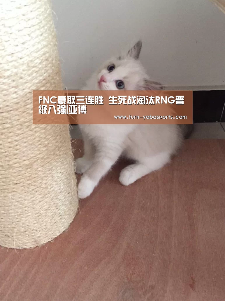 亚博